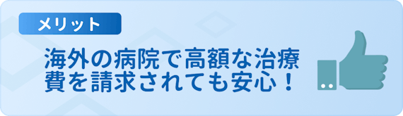 h3made_楽天カード_国際ブランド