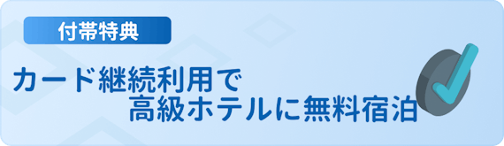 h3made_アメックスカード